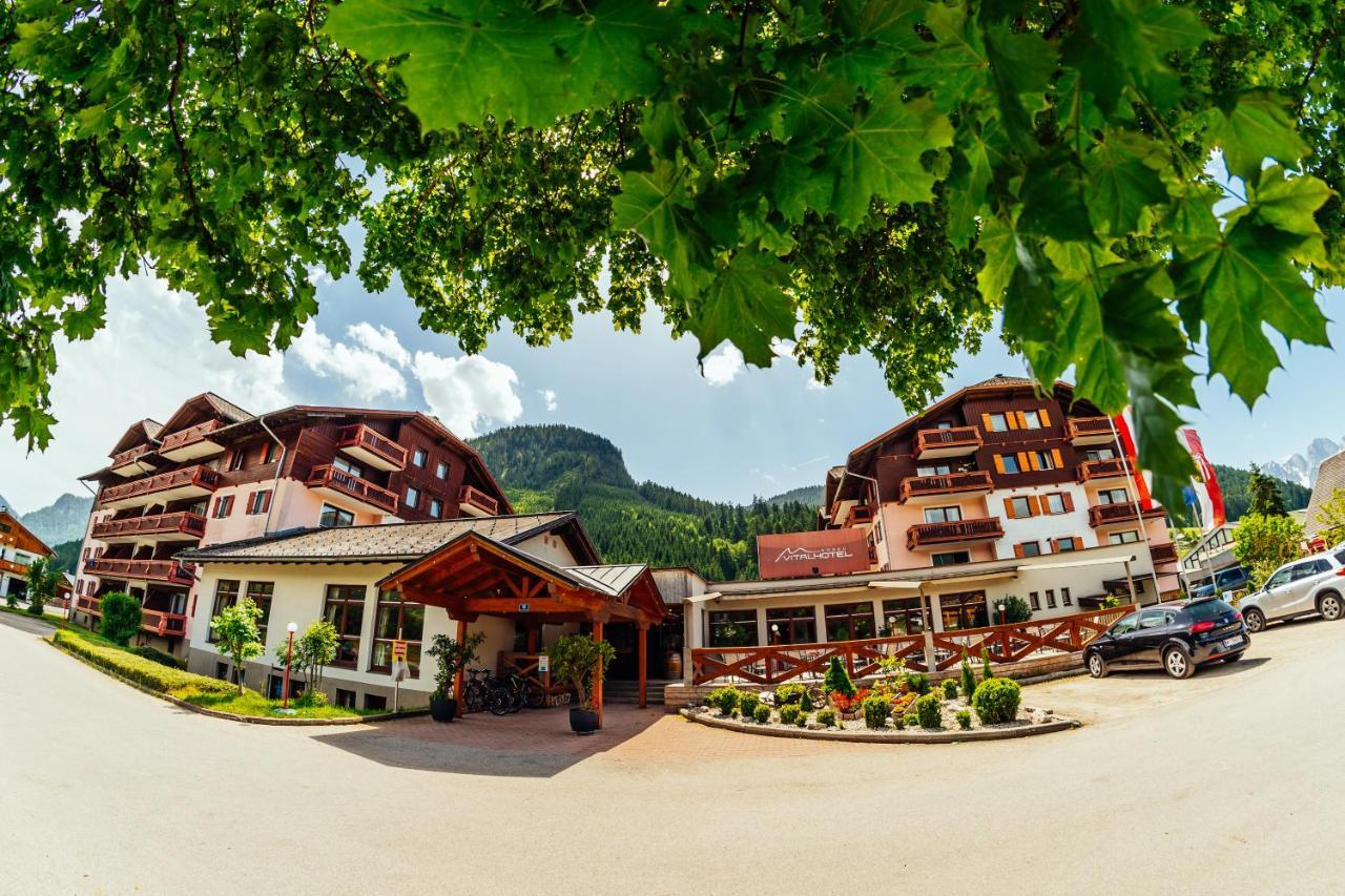 Modern Studio-Apartment In Gosau Near Hallstatt מראה חיצוני תמונה
